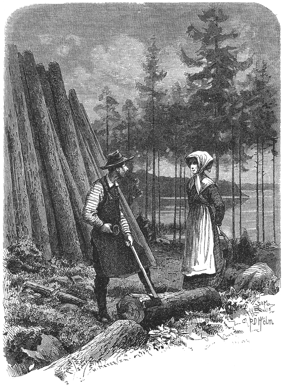 In Swedish folklore, female forest spirits often have an inhuman trait like a tail that gives away their identity to the men they approach.