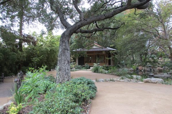 Tea-house view.