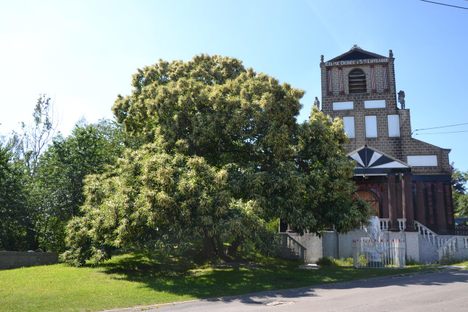 Outside the chapel in the summer. 