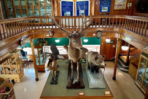 Banff Park Museum