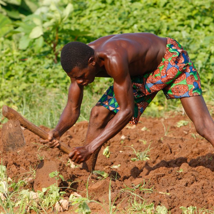 Bassar farmer.